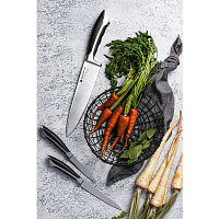 Набор ножей Polaris Millennium-3SS