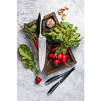 Набор ножей Polaris Millennium-3SS