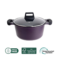 Кастрюля с крышкой Polaris ECO collection-24C